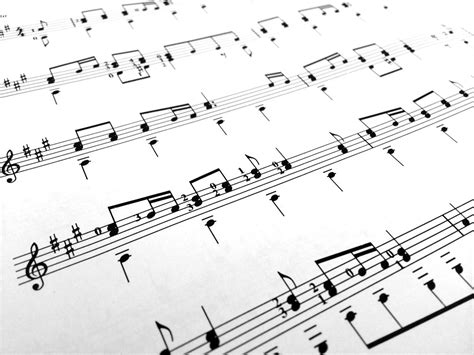 musical score definition and its multifaceted exploration